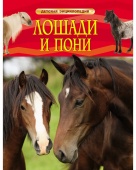 Книга энциклопедия детская Лошади и пони. Травина И.В.