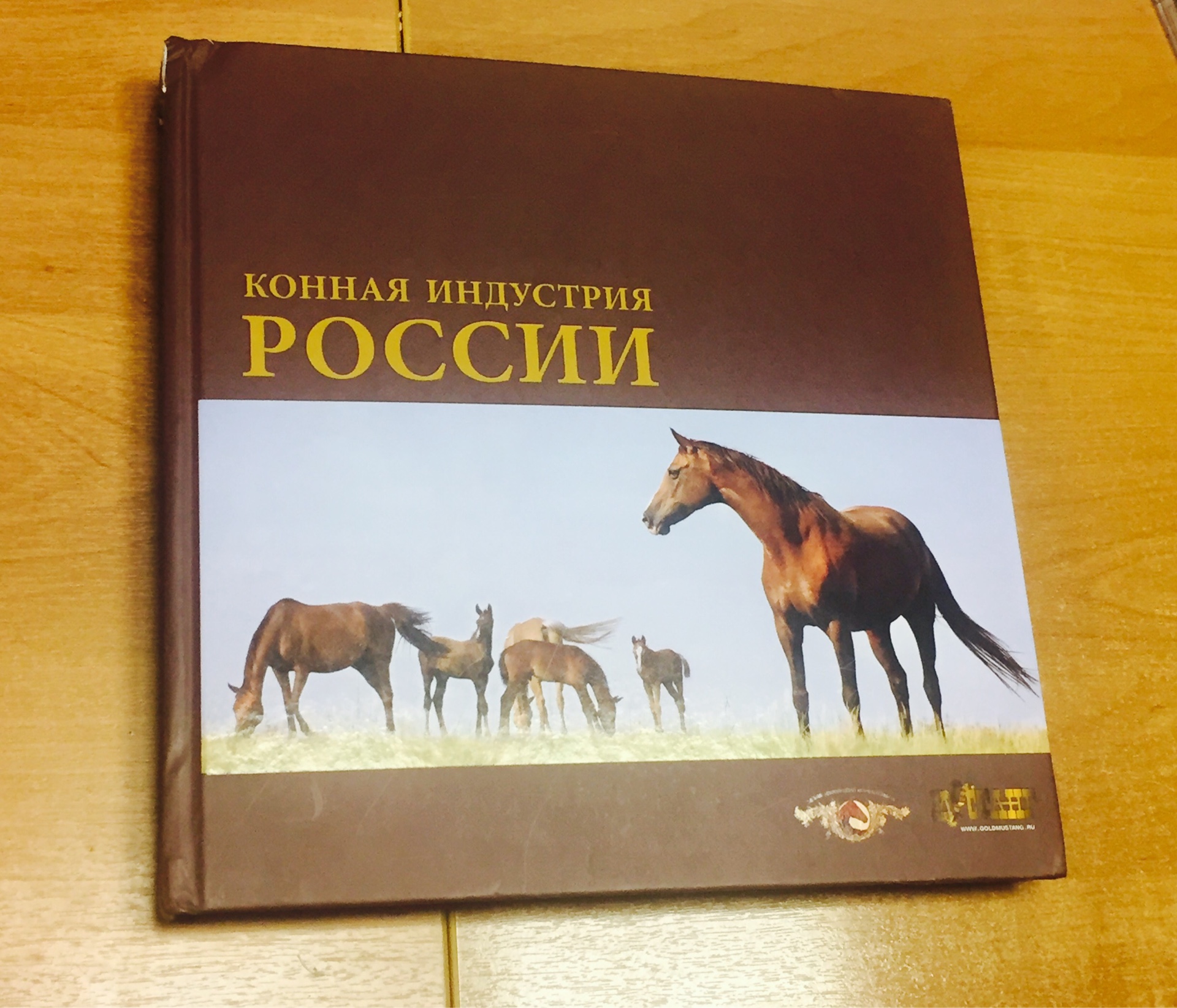 Книги верховая. Книги про лошадей. Конная индустрия России книга. Книга большая книга о лошадях. Книги о лошадях и верховой езде.