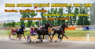Новая поставка рысистой амуниции и комплектующих