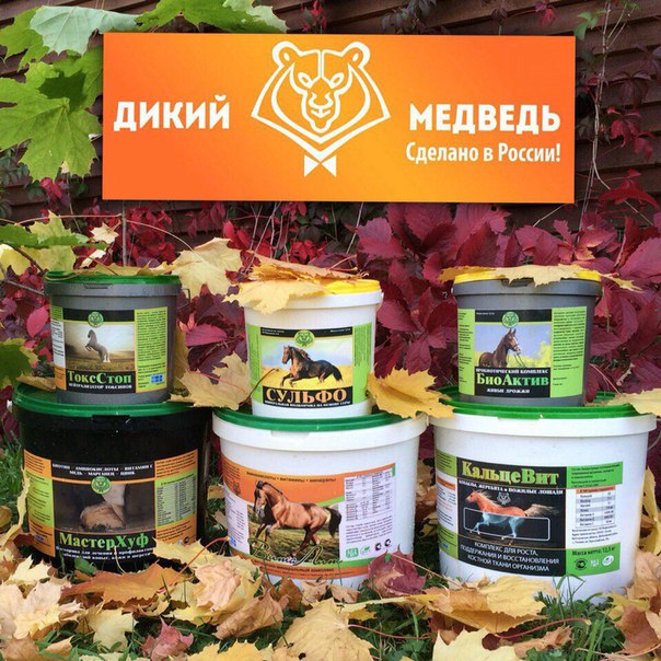 Дикий Медведь Подкормки Для Лошадей Интернет Магазин
