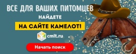 Наш официальный партнер - Камелот!