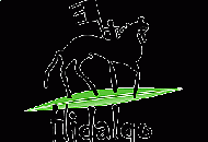 Поступление товаров HIDALGO
