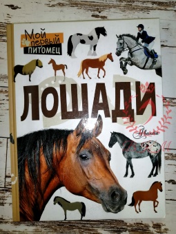 Книга Мой первый питомец-Лошади